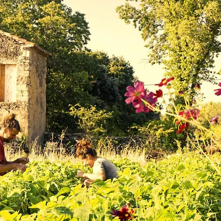 Mazet A La Ferme * Montaren-et-Saint-Mediers
