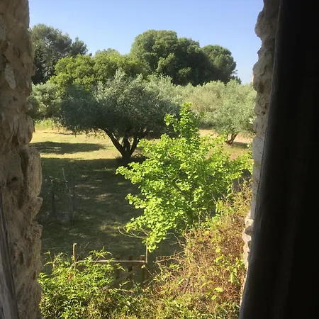 Mazet A La Ferme *