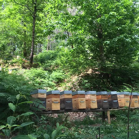 Ferienhaus Mazet A La Ferme