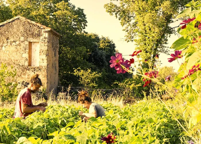 Mazet A La Ferme * Montaren-et-Saint-Mediers