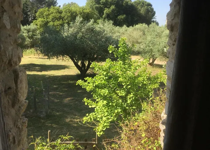 Mazet A La Ferme *