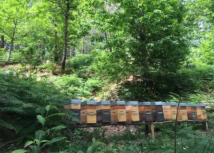 Ferienhaus Mazet A La Ferme